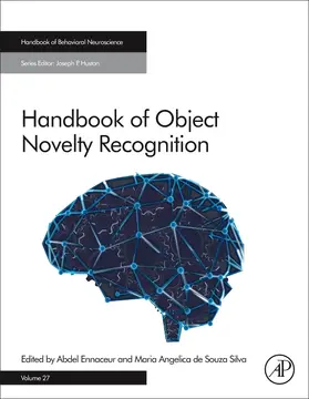 Handbook of Object Novelty Recognition | Buch | 978-0-12-812012-5 | sack.de