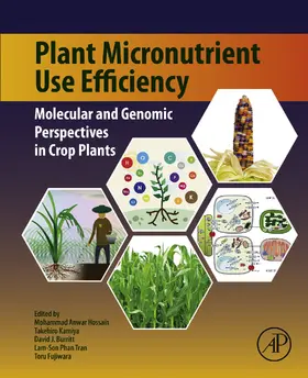 Hossain / Kamiya / Burritt | Plant Micronutrient Use Efficiency | E-Book | sack.de