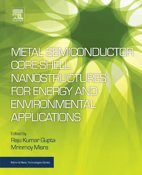 Gupta / Misra |  Metal Semiconductor Core-shell Nanostructures for Energy and Environmental Applications | eBook | Sack Fachmedien