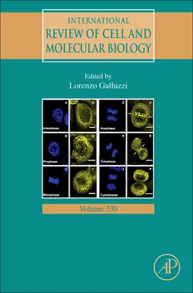 International Review of Cell and Molecular Biology | Buch | 978-0-12-812467-3 | sack.de