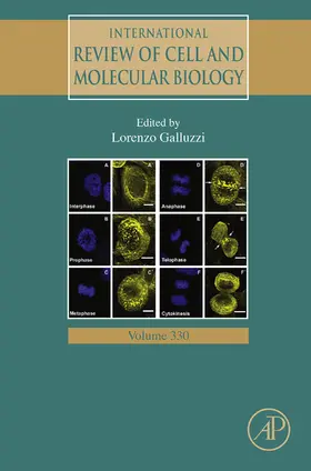 Galluzzi |  International Review of Cell and Molecular Biology | eBook | Sack Fachmedien