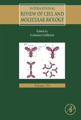 Galluzzi |  International Review of Cell and Molecular Biology | eBook | Sack Fachmedien