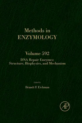 Eichman | DNA Repair Enzymes: Structure, Biophysics, and Mechanism | E-Book | sack.de