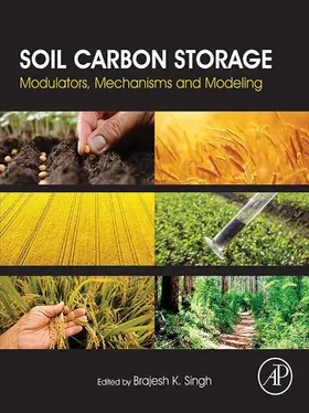 Singh | Soil Carbon Storage | E-Book | www2.sack.de