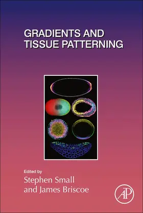 Gradients and Tissue Patterning | Buch | 978-0-12-812790-2 | www2.sack.de