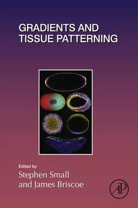 Small / Briscoe |  Gradients and Tissue Patterning | eBook | Sack Fachmedien