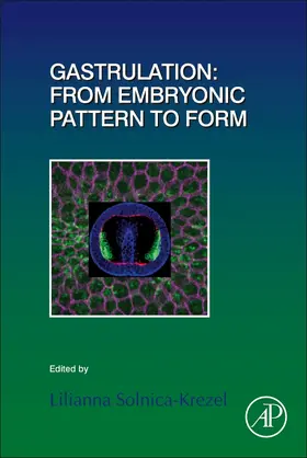  Gastrulation | Buch |  Sack Fachmedien