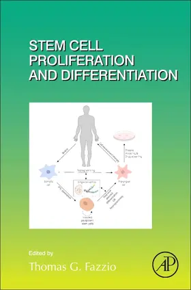 Stem Cell Proliferation and Differentiation | Buch | 978-0-12-812890-9 | www2.sack.de