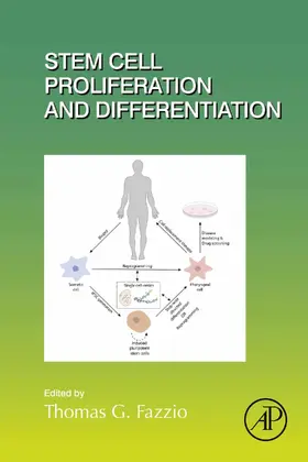  Stem Cell Proliferation and Differentiation | eBook | Sack Fachmedien