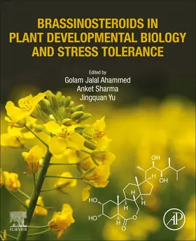 Ahammed / Sharma / Yu |  Brassinosteroids in Plant Developmental Biology and Stress Tolerance | Buch |  Sack Fachmedien