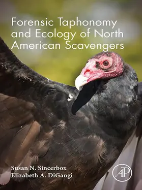 Sincerbox BS / DiGangi | Forensic Taphonomy and Ecology of North American Scavengers | E-Book | sack.de