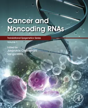 Chakrabarti / Mitra / Tollefsbol |  Cancer and Noncoding RNAs | eBook | Sack Fachmedien