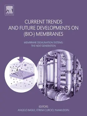 Basile / Curcio / Inamuddin | Current Trends and Future Developments on (Bio-) Membranes | E-Book | sack.de