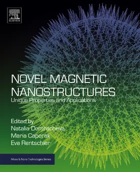 Domracheva / Caporali / Rentschler |  Novel Magnetic Nanostructures | eBook | Sack Fachmedien