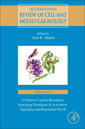  G Protein-Coupled Receptors: Emerging Paradigms in Activation, Signaling and Regulation Part B | Buch |  Sack Fachmedien