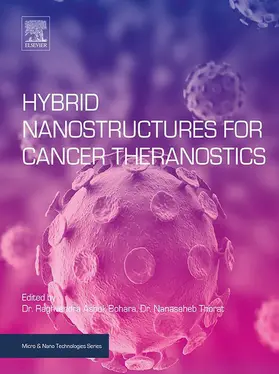 Ashok Bohara / Thorat |  Hybrid Nanostructures for Cancer Theranostics | eBook | Sack Fachmedien