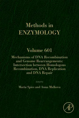 Spies / Malkova |  Mechanisms of DNA Recombination and Genome Rearrangements: Intersection Between Homologous Recombination, DNA Replication and DNA Repair | Buch |  Sack Fachmedien
