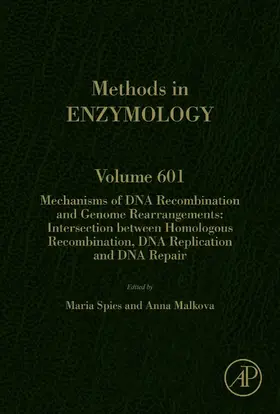 Spies / Malkova | Mechanisms of DNA Recombination and Genome Rearrangements: Intersection Between Homologous Recombination, DNA Replication and DNA Repair | E-Book | sack.de
