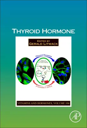  Thyroid Hormone | Buch |  Sack Fachmedien
