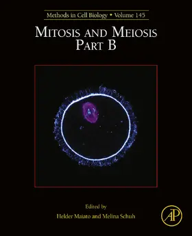 Maiato / Schuh |  Mitosis and Meiosis Part B | eBook | Sack Fachmedien