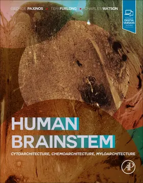 Furlong / Watson |  Human Brainstem | Buch |  Sack Fachmedien