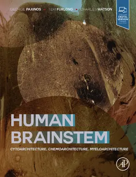 Paxinos / Furlong / Watson |  Human Brainstem | eBook | Sack Fachmedien