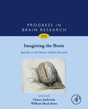 Ambrosio / Maclehose |  Imagining the Brain: Episodes in the History of Brain Research | eBook | Sack Fachmedien
