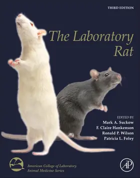 Suckow / Hankenson / Wilson |  The Laboratory Rat | Buch |  Sack Fachmedien