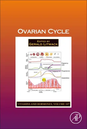 Litwack |  Ovarian Cycle | Buch |  Sack Fachmedien