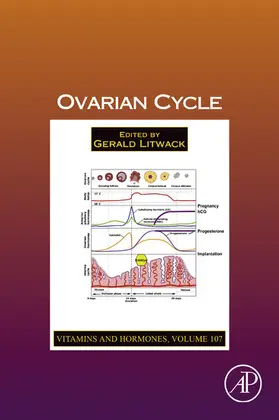Litwack | Ovarian Cycle | E-Book | sack.de