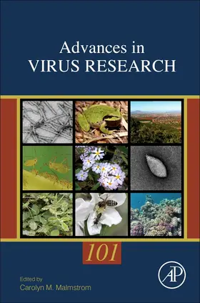 Environmental Virology and Virus Ecology | Buch | 978-0-12-814415-2 | www2.sack.de