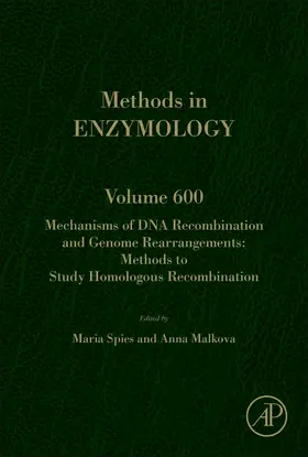 Spies / Malkova |  Mechanisms of DNA Recombination and Genome Rearrangements: Methods to Study Homologous Recombination | Buch |  Sack Fachmedien