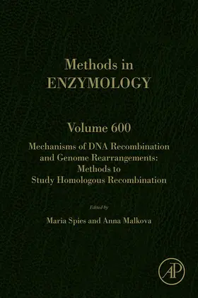 Spies / Malkova |  Mechanisms of DNA Recombination and Genome Rearrangements: Methods to Study Homologous Recombination | eBook | Sack Fachmedien