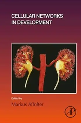 Affolter |  Cellular Networks in Development | eBook | Sack Fachmedien
