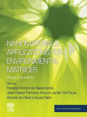 Do Nascimento / Ferreira / de Paula |  Nanomaterials Applications for Environmental Matrices | eBook | Sack Fachmedien