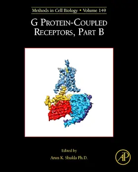  G Protein-Coupled Receptors, Part B | Buch |  Sack Fachmedien