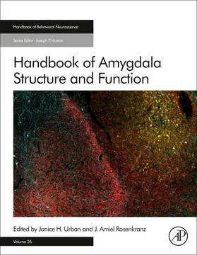 Urban / Rosenkranz | Handbook of Amygdala Structure and Function | Buch | 978-0-12-815134-1 | sack.de