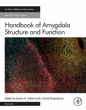 Urban / Rosenkranz |  Handbook of Amygdala Structure and Function | eBook | Sack Fachmedien
