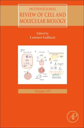  International Review of Cell and Molecular Biology | Buch |  Sack Fachmedien