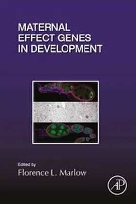  Maternal Effect Genes in Development | eBook | Sack Fachmedien