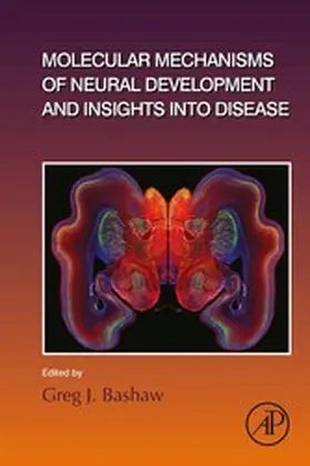 Molecular Mechanisms of Neural Development and Insights into Disease | E-Book | sack.de