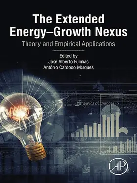 Fuinhas / Marques | The Extended Energy-Growth Nexus | E-Book | sack.de