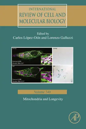 Lopez-Otin / Galluzzi |  Mitochondria and Longevity | eBook | Sack Fachmedien