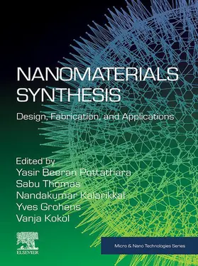 Beeran Pottathara / Thomas / Kalarikkal |  Nanomaterials Synthesis | eBook | Sack Fachmedien