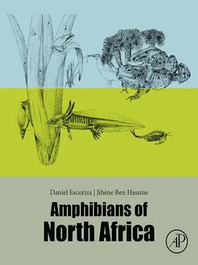 Escoriza / Hassine | Amphibians of North Africa | E-Book | sack.de