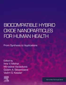 Melnyk / Vaclavikova / Seisenbaeva |  Biocompatible Hybrid Oxide Nanoparticles for Human Health | eBook | Sack Fachmedien