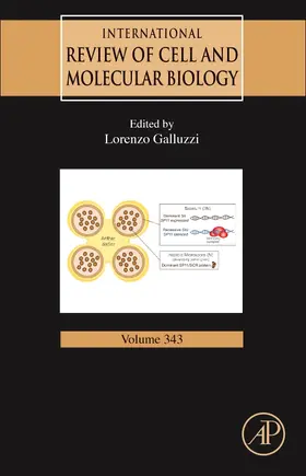 International Review of Cell and Molecular Biology | Buch | 978-0-12-816703-8 | sack.de