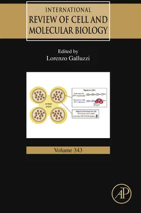 Galluzzi |  International Review of Cell and Molecular Biology | eBook | Sack Fachmedien