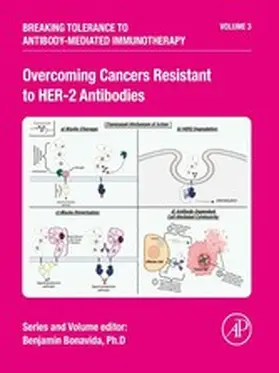Bonavida |  Overcoming Cancers Resistant to HER-2 Antibodies | eBook | Sack Fachmedien