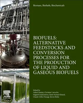 Pandey / Larroche / Gnansounou | Biomass, Biofuels, Biochemicals | Buch | 978-0-12-816856-1 | sack.de